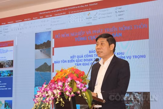 Đà Nẵng: Phát triển bền vững kinh tế biển gắn với tăng trưởng xanh