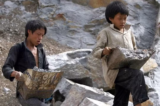 Lao động trẻ em là vấn đề cần sự quan tâm của cả xã hội