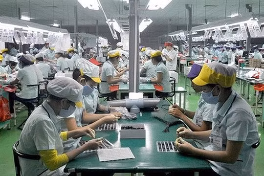 Năng lực xuất khẩu của doanh nghiệp Việt đang dần cải thiện