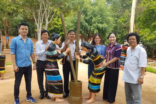 Về đường này, thăm sóc Bom Bo