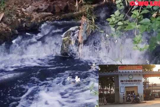 Cty CP mía đường Sơn La bị "tố" xả thải gây ô nhiễm môi trường