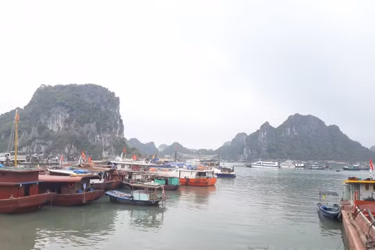 Quảng Ninh: Tăng trưởng kinh tế vượt bậc trong 7 tháng đầu năm 2019