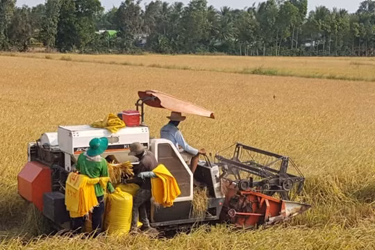 Phụng Hiệp gấp rút hoàn thành kế hoạch xây dựng Nông thôn mới 2019