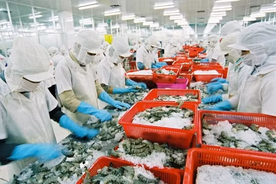 Cần sự cân bằng lợi ích từ cả hai phía DN và NLĐ