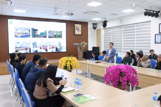 Công ty Cổ phần Môi trường Thuận Thành khẳng định không đổ trộm chất thải ra môi trường