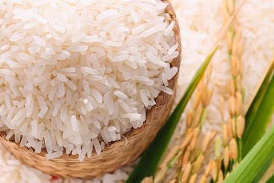 Nhiều yếu tố bất lợi tác động lên giá gạo Việt, Ấn Độ