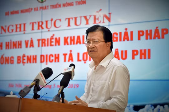 Từng bước ngăn chặn, kiểm soát, loại bỏ bệnh Dịch tả lợn Châu Phi