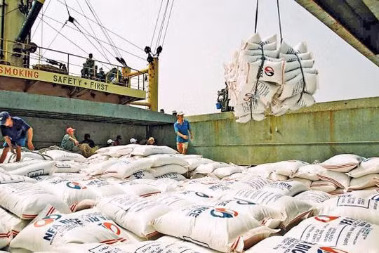 Tăng cường xúc tiến thương mại, mở đường cho gạo vào thị trường chủ lực