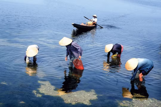 Quảng Điền - Thừa Thiên Huế: Du lịch sinh thái phát triển theo hướng bền vững