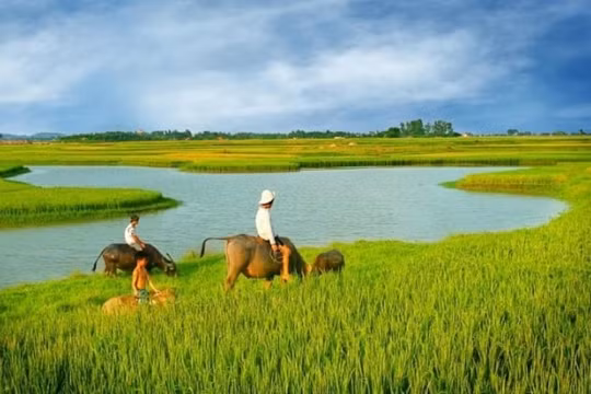 Quán Thanh Xuân tháng 11- đồng quê thương nhớ