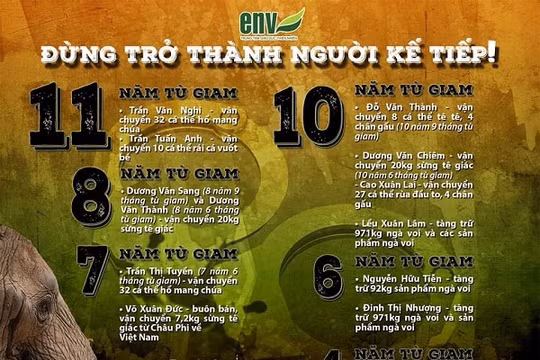 15 tháng tù dành cho đối tượng buôn bán móng gấu trên mạng xã hội
