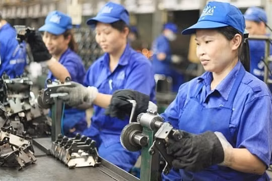 Quyết liệt giảm nợ đọng Bảo hiểm xã hội, đảm bảo quyền lợi cho người lao động