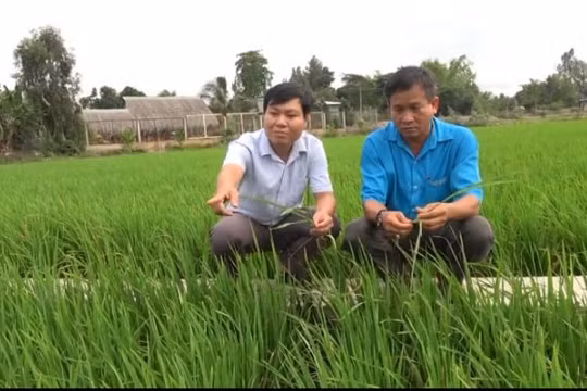 Nhà báo Dương Út - Báo Đồng Tháp: Điều quan trọng là phải chạm được vào trái tim độc giả