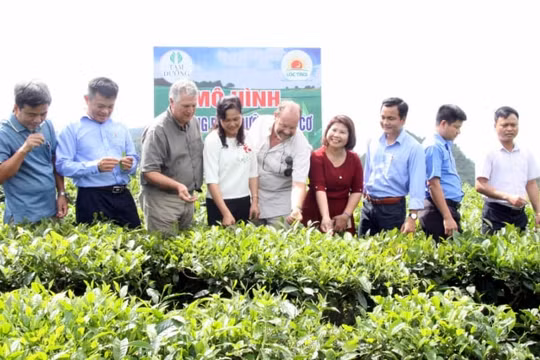 Dấu ấn sau 15 năm tách, thành lập tỉnh