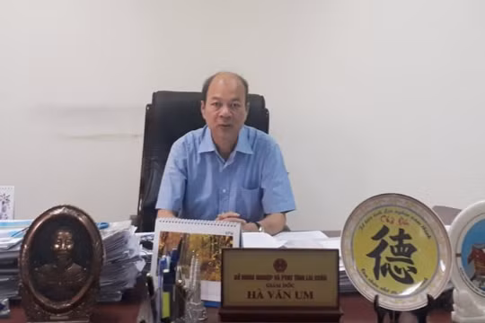 Hướng đến nền nông nghiệp Lai Châu phát triển theo hướng hiện đại gắn với xây dựng nông thôn mới