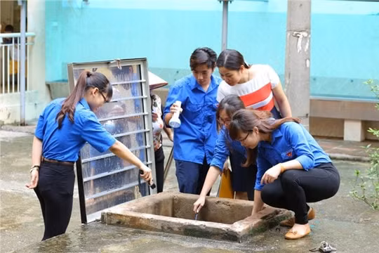 Bộ Giáo dục và Đào tạo huy động học sinh, giáo viên tham gia diệt bọ gậy phòng chống sốt xuất huyết