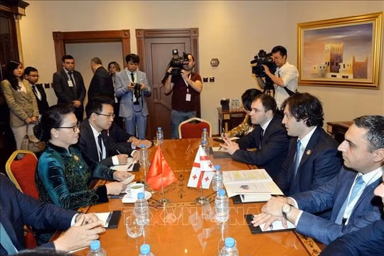 Việt Nam – Georgia: Duy trì cơ chế tham vấn chính trị giữa hai nước