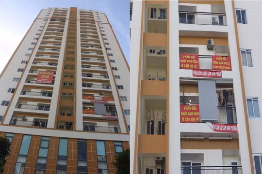 Chung cư COWA Tower 199 Hồ Tùng Mậu: Biến căn hộ thành văn phòng cho thuê sai quy định!