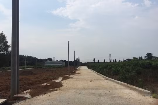 Tăng cường biện pháp để ngăn phân lô bán nền trái phép