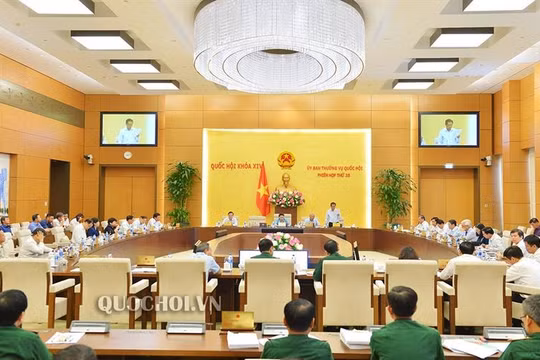 Cho ý kiến về dự thảo Luật Xuất nhập cảnh