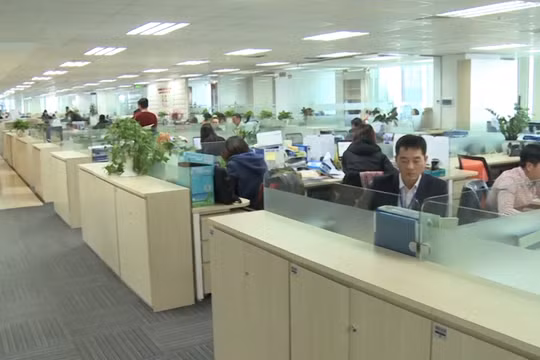 Nhu cầu văn phòng tăng cao do sự mở rộng các ngành nghề