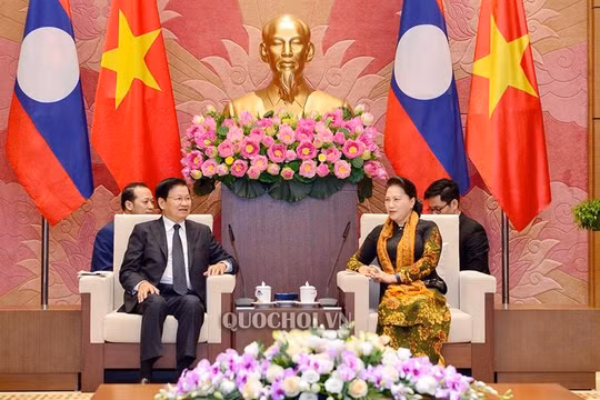 Chủ tịch Quốc hội Nguyễn Thị Kim Ngân hội kiến Thủ tướng CHDCND Lào