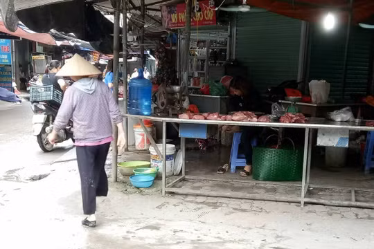 Cảnh giác cao với nguy cơ dịch tả Châu Phi quay lại