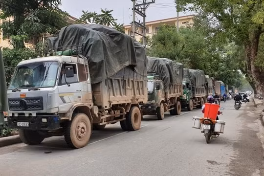 Xử lý trách nhiệm tập thể, cá nhân liên quan đến vụ buôn lậu tại huyện Cao Lộc