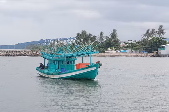 Cà Mau: Khẩn trương tìm kiếm 4 ngư dân nhảy xuống biển mất tích
