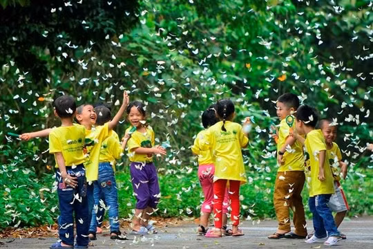 Khám phá những “ngôi nhà thiên nhiên” đầy lý thú cho trẻ phát triển toàn diện