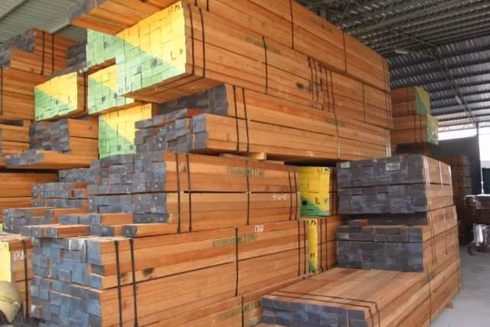 Xuất khẩu gỗ và sản phẩm gỗ của Việt Nam tăng mạnh