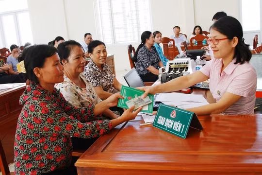 Gần 8 triệu lượt hộ nghèo và đối tượng chính được vay 221.693 tỷ đồng vốn