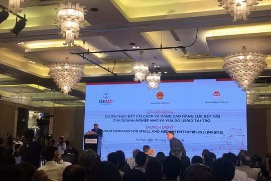 Thúc đẩy cải cách và nâng cao năng lực kết nối của doanh nghiệp nhỏ và vừa