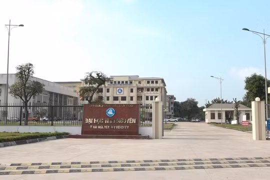 Giám đốc Đại học Thái Nguyên “bao che” cho sai phạm?