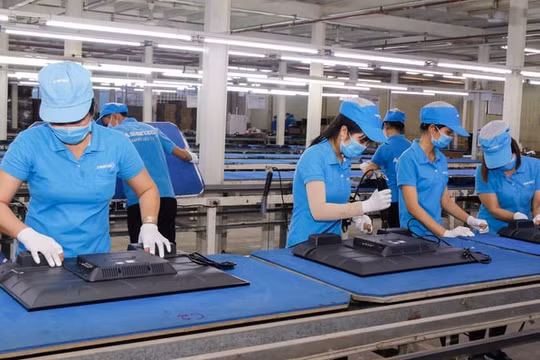Cục Thuế TP.Hồ Chí Minh: Asanzo trốn thuế hơn 13,9 tỷ đồng, còn 4.200 tỷ đồng là do “gõ nhầm”