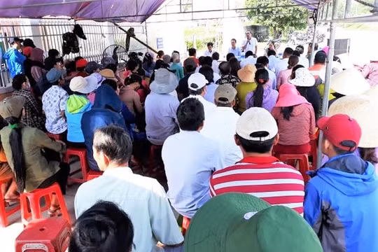 Sự cố tràn dầu tại Nhà máy cồn Đại Tân ( Quảng Nam) gây ô nhiễm môi trường: Đối thoại bế tắc