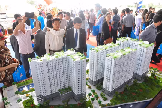 Tập đoàn Đất Xanh bị phạt và truy thu hơn 3 tỷ đồng tiền thuế