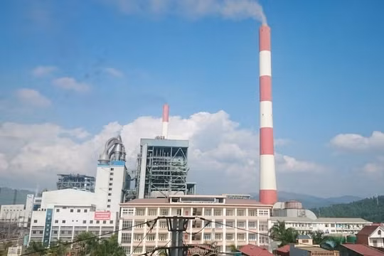 Công ty Nhiệt điện Uông Bí chú trọng công tác bảo vệ môi trường