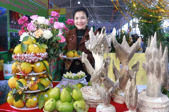 Nhộn nhịp Lễ hội Cam và các sản phẩm nông nghiệp Hà Tĩnh lần thứ 3