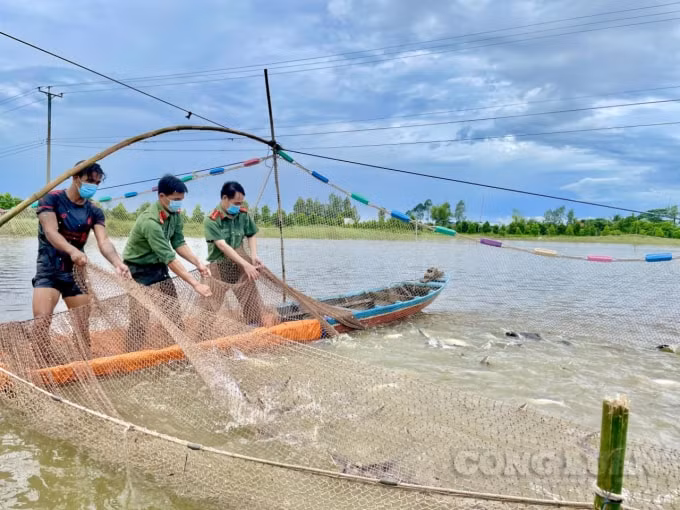 Trung úy Nguyễn Thành Phát tham gia kéo cá và khiêng cá cùng người dân