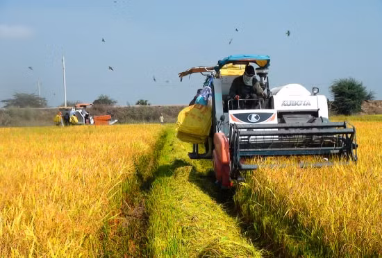 Tạo điều kiện thuận lợi cho hoạt động sản xuất, tiêu thụ nông sản và vận tải hàng hóa được thông suốt tại các địa phương. Ảnh minh họa