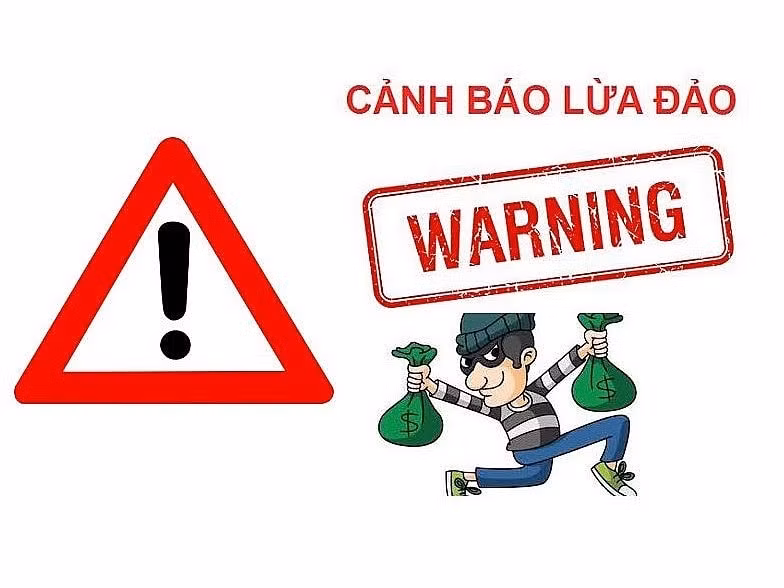 mot doanh nghiep viet nam co dau hieu mat trang gan 80000 usd vi bi lua tai pakistan hinh 1