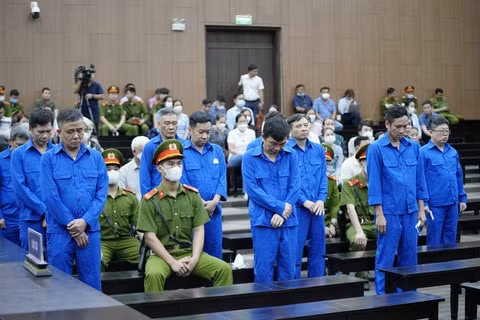 ban re dat cho doanh nghiep cuu chu tich ubnd binh thuan bi tuyen phat 5 nam tu hinh 2