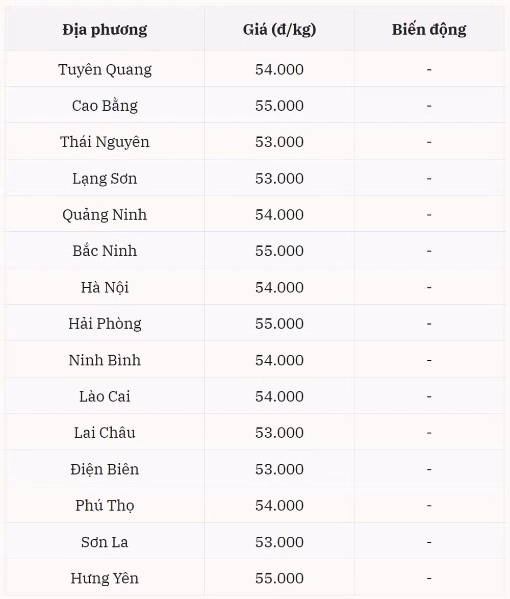 Giá heo hơi miền Bắc Mặt bằng ổn định, phổ biến 53.000 – 55.000 đồng kg