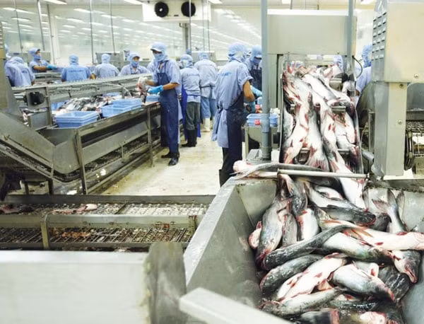 Ngành nông nghiệp đặt mục tiêu đến năm 2030, tốc độ tăng trưởng giá trị sản xuất thủy sản sẽ đạt 3 - 4%/năm
