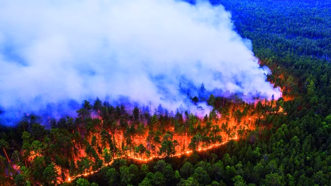 Các vụ cháy rừng ở Siberia bao trùm diện tích bằng nước Bỉ và phát ra tổng lượng khí thải carbon dioxide tương đương với lượng thải ra của Thụy Điển trong 1 tháng.