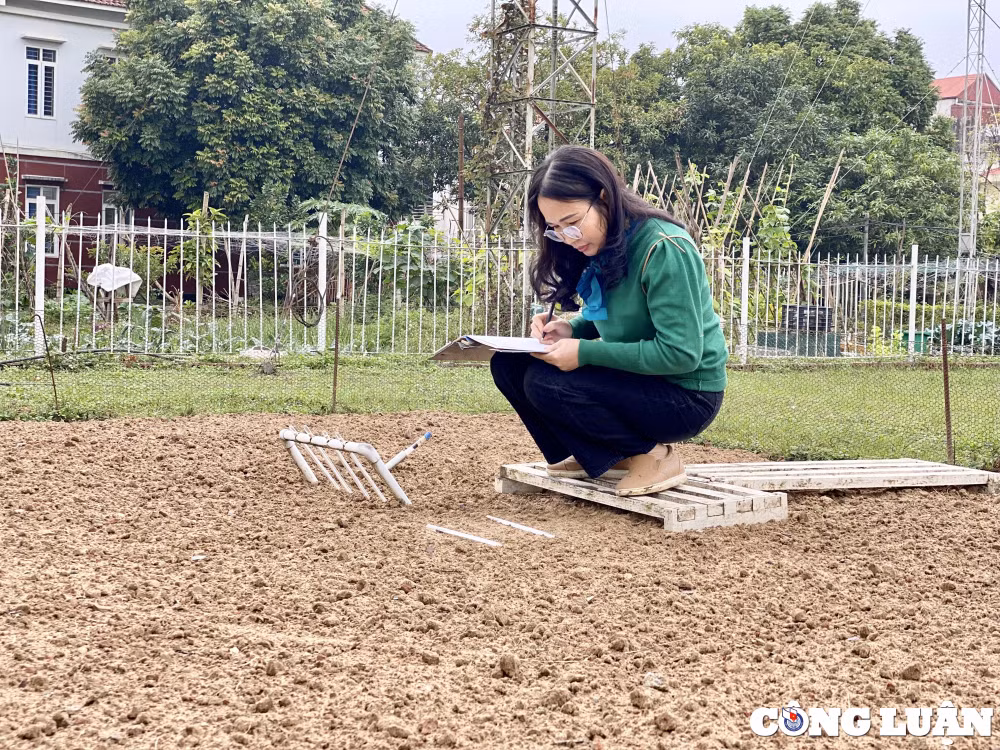 tet cua nhung nguoi lam nghe quan trac khi tuong hinh 2