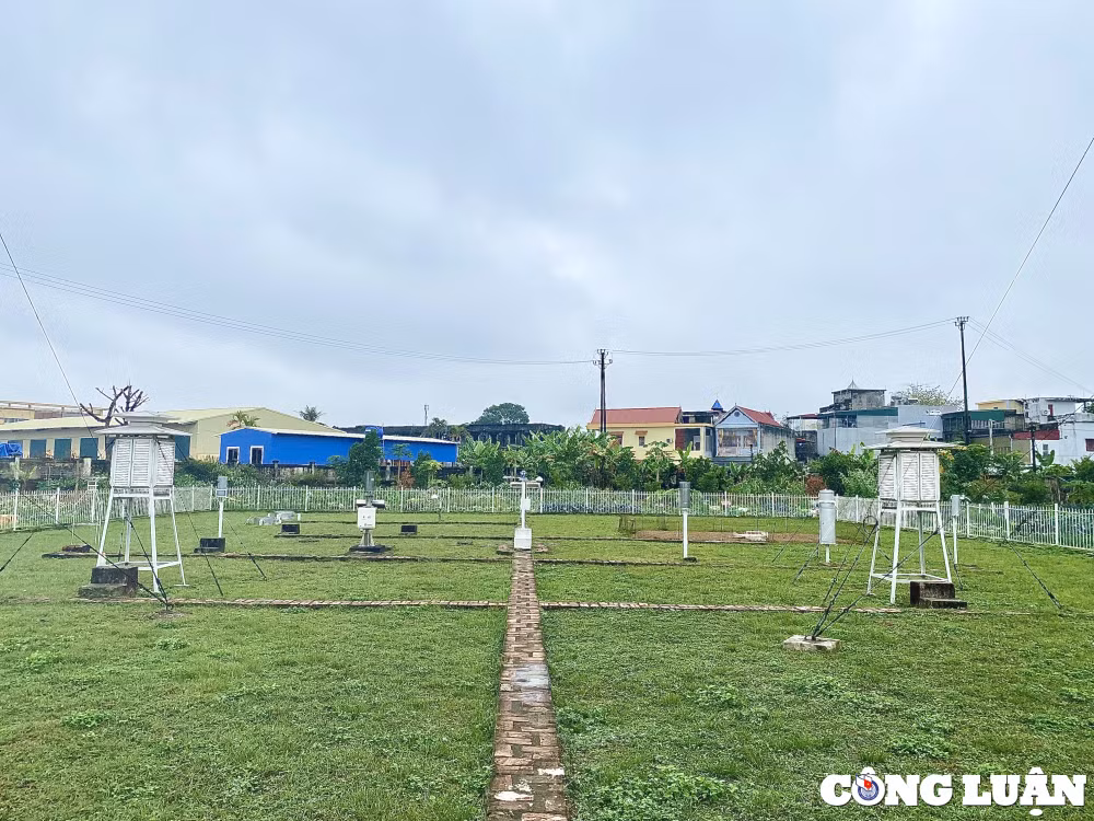 tet cua nhung nguoi lam nghe quan trac khi tuong hinh 3