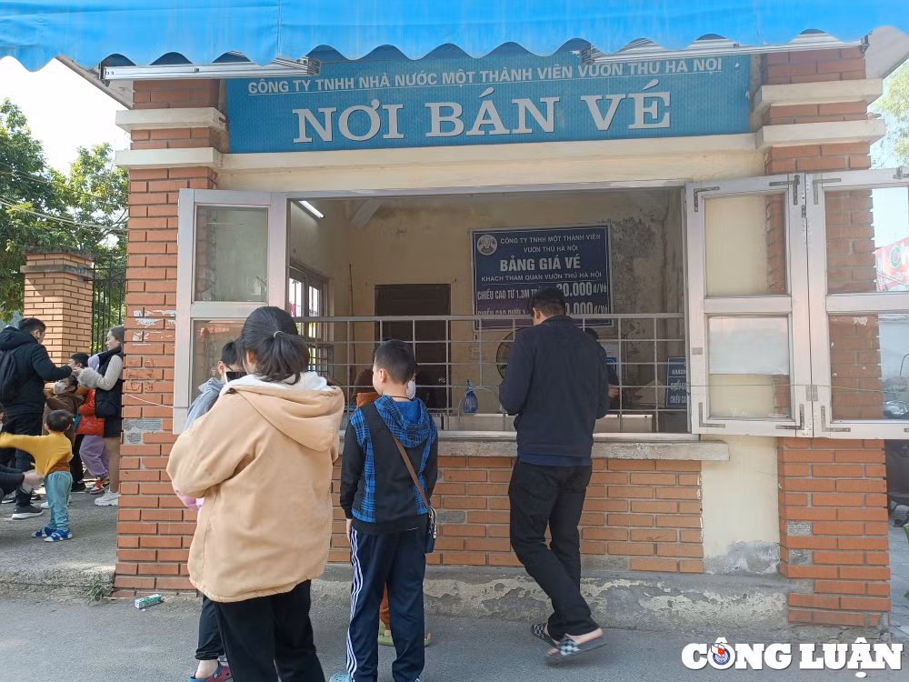 cong vien thu le hut khach tham quan trong nhung ngay dau nam moi quy mao hinh 4