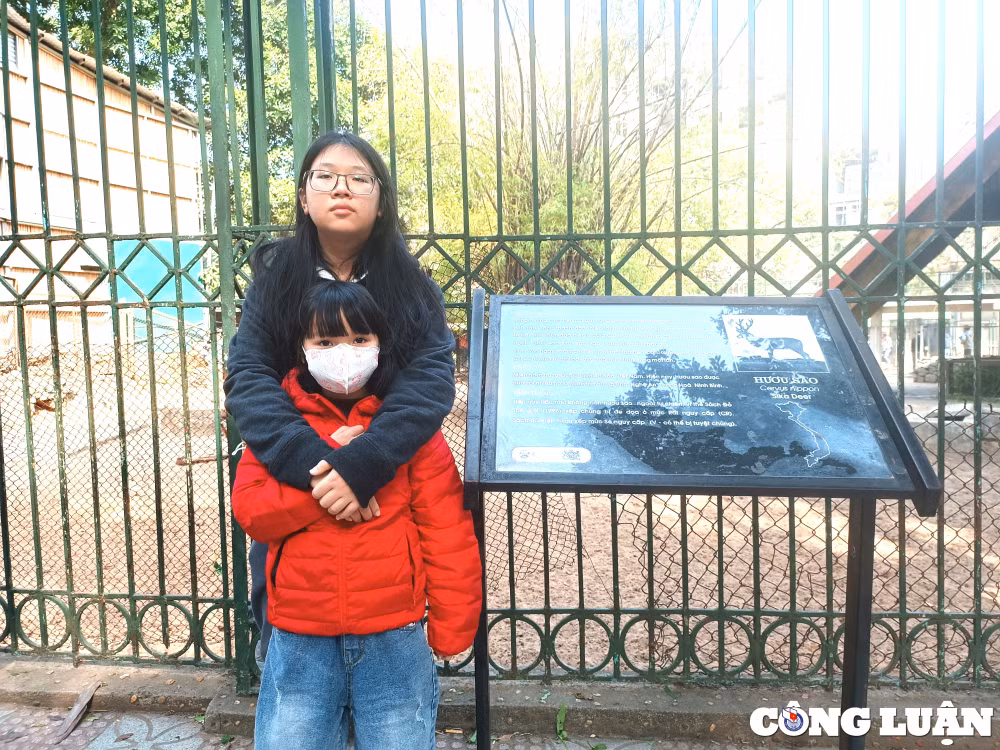 cong vien thu le hut khach tham quan trong nhung ngay dau nam moi quy mao hinh 10